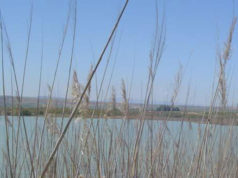 La balsa El Pulguer, entre las siete zonas de aguas de baño de Navarra con calificación de excelente