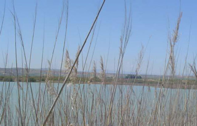 ZONAS-DE-BAO-NATURALES-DE-NAVARRA