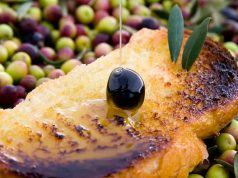 Satisfacción del sector productor de Aceite de Oliva Virgen Extra en Navarra Aceite de Navarra