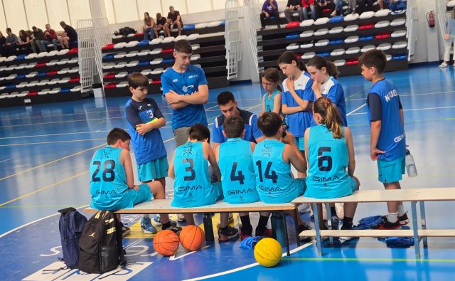 Baloncesto Arenas