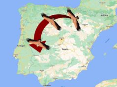 El viaje de los buitres. De Bardenas a la dehesa extremeña
