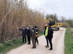Comienzan los trabajos de eliminación de flora invasora en la orilla del Río Ebro
