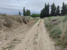Tudela destina 175.000 euros a la mejora de caminos agrícolas y regulariza la adjudicación de parcelas comunales