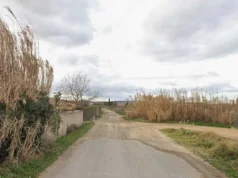 Contigo Tudela lleva a Anticorrupción el asfaltado de un camino rural