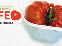 El concurso «El Feo de Tudela» se reinventa