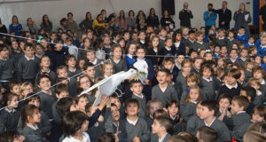 Compañía-de-maria-tudela-dia-de-la-paz