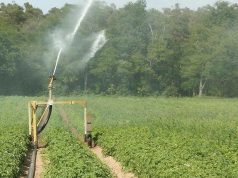 Arranca la concentración parcelaria en Corella con la aprobación del Gobierno de Navarra