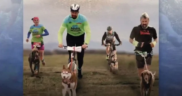 copa de españa de mushing buñuel