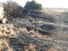 Guarderío y Policía Foral esclarecen los incendios en la balsa de El Pulguer en Tudela