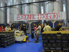 Errigora