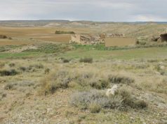 Las organizaciones ecologistas lamentan el paso atrás del Gobierno Foral al retirar el plan de Agroestepas