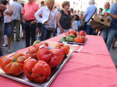 El «Feo de Tudela» protagonista gastronómico del fin de semana