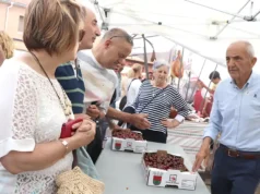 La Fiesta de la Cereza de Milagro celebra 25 años este 9 de junio promocionando su producto, por primera vez, bajo el sello de calidad «Reyno Gourmet”