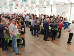 La Orden del Volatín considera que el ayuntamiento no empuja como debe a las fiestas de la Verdura fiestas de la verdura tudela
