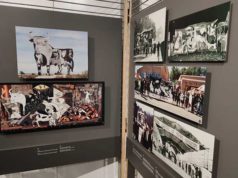 Más de 6.300 personas han visitado la exposición sobre el «Guernica» en Tudela
