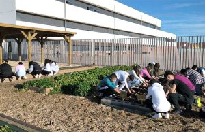 El IESO Castejón recibe la acreditación K122 de Erasmus+ para fomentar movilidad y proyectos europeos
