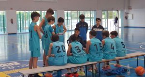 Baloncesto Arenas