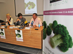 Inverdura se consolida como el principal atractivo de Tudela para el puente de diciembre inverdura 2017
