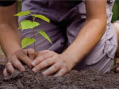 Ecologistas en Acción presenta las Jornadas “El valor de la huerta” El valor de la huerta