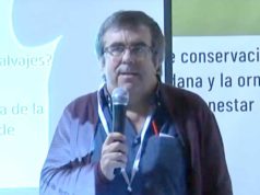 José Antonio Donázar, Premio de Medio Ambiente 2020 José Antonio Donázar, Premio de Medio Ambiente 2020
