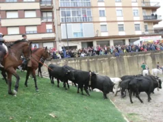 Feria Caballo Marcilla
