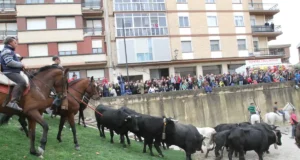 Feria Caballo Marcilla