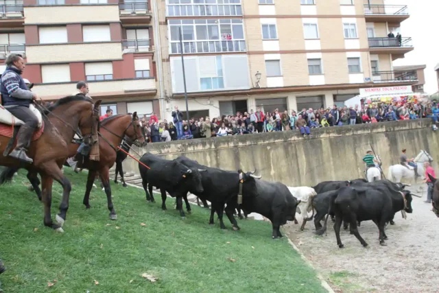 Feria Caballo Marcilla