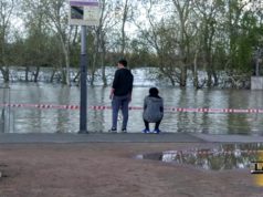 El Ebro ya baja en Castejón