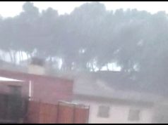 Árboles y ramas caídas, pequeñas inundaciones y rejillas desencajadas consecuencias de la tormenta en Tudela