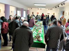 Cascante celebra el 30 aniversario de sus jornadas micológicas