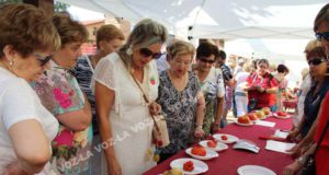 Tomate Tudela