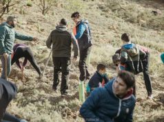 Estaciones Sonoras crea un «entorno sonoro» plantando 1.400 árboles en el término de la Cantera