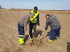Fustiñana producirá sus propias nueces Fustiñana producirá sus propias nueces
