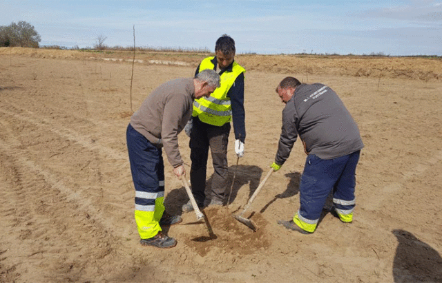 plantacion-nogales-fustiñana Fustiñana producirá sus propias nueces