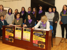Visibilizar los trabajos precarios y más feminizados objetivo de la movilización del 8M en Tudela