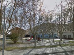 haces caninas policía municipal