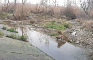 Ecologistas en Acción denuncia el lamentable estado ecológico en el que se encuentra el río Alhama río Alhama