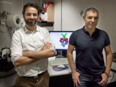 El tudelano Oscar Llorca al frente de un hallazgo que puede revolucionar los tratamientos de las enfermedades bacterianas