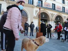 Decenas de tudelanos acuden con sus mascotas a la tradicional bendición de San Antón