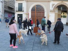 Las tradicionales «vuelticas» a la Cruz de San Antón, esta vez de mañana y de tarde San Antón