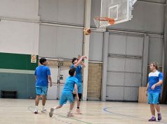 Baloncesto Arenas