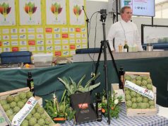 Los talleres de cocina protagonizan las tardes de las Jornadas de la Verdura en la Carpa del Volatín taller de cocina jornadas de la verdura