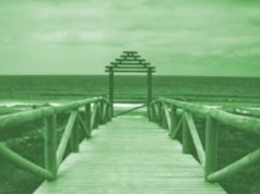 V Jornada Salud Mental en el Siglo XXI: Introducción a la Salud Mental Colectiva