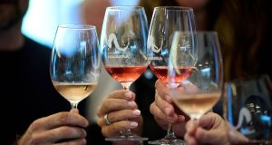 catas de vino Tudela
