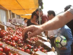 cereza de Milagro