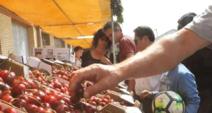 cereza de Milagro