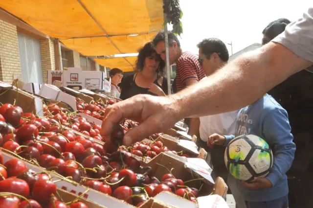 cereza de Milagro
