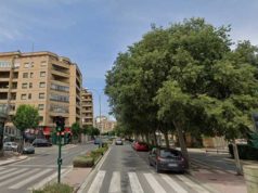 El Ayuntamiento de Tudela inicia la reposición de arbolado con la plantación de 369 nuevos ejemplares
