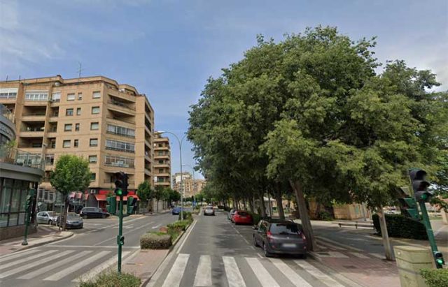 zona de arbolado en la avenida de zaragoza