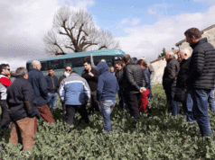 Treinta profesionales de la agricultura navarra, cinco de ellos riberos, visitan explotaciones francesas